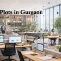 Buy SCO Plots In Gurgaon &ndash; Royal Green Realty