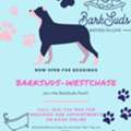 Pet Wellness And Grooming Care In Westchase Area