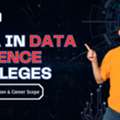 BCA In Data Science Colleges In India &ndash; Fees, Admission & Career Scope