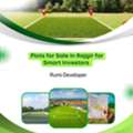 INR 2200000,  1000 Sq. Feet,  Plots For Sale In Rajgir For Smart Investors | Rumi Developer
