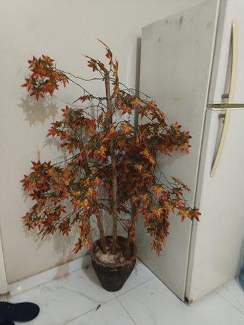 Al Aziziyah, Farm & Garden, Sar 35,  Decorative Artificial Plant