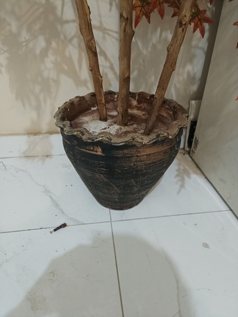 Al Aziziyah, Farm & Garden, Sar 35,  Decorative Artificial Plant