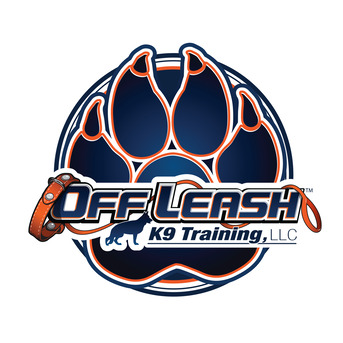 New York, Pet Sitting, Off Leash K9 Of Northern Virginia