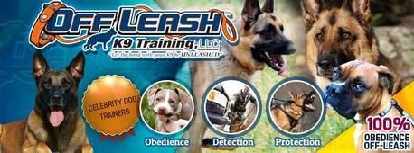 New York, Pet Sitting, Off Leash K9 Of Northern Virginia