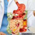 Understanding Digestive Disorders Symptoms And Pain