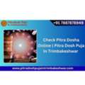 Check Pitra Dosha Online |  Pitra Dosh Puja In Trimbakeshwar