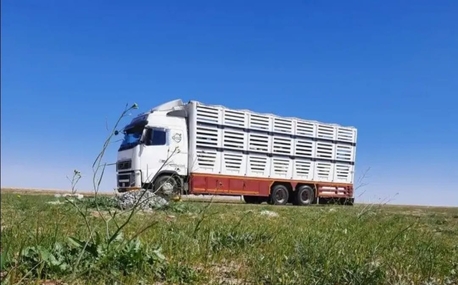 Riyadh, Relocation, Movers And Packers Moving Sarvec All KSA