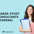 Your Gateway To Study In Canada &ndash; Chennai&rsquo;s Trusted Consultants
