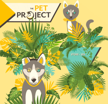 Bangalore, Pet Supplies, INR 600,  Protein Biscuits For Dogs In Bangalore | The Pet Project
