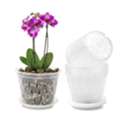 USD 2,  Orchid Pot For Sale &ndash; Quality Pots For Healthy Orchid Growth