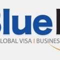 Professional HR Services By Blue Link Services