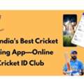 Get Verified Online Cricket ID Tips &ndash; Online Cricket ID Club