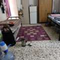 SAR 500/month,  000 Sq. Meter,  We Have Two Bed Spaces To Rent At Hara, Riyadh, (We Are Looking For South Indian