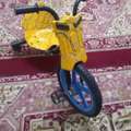 SAR 120,  Child Manual Cycle