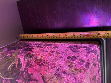 Dammam, Pet Supplies, SAR 450,  Low Tech Planted Fish Tank With Full Accessories