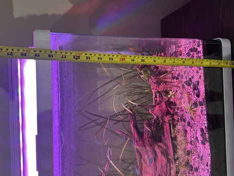 Dammam, Pet Supplies, SAR 450,  Low Tech Planted Fish Tank With Full Accessories