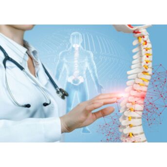 Bangalore, Medical, Spine Surgery In Bangalore