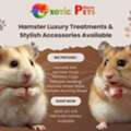 INR 999,  Syrian Hamsters, Cage, Wheel & Food &ndash; All In One Place