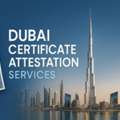 Attestation Services In UAE | Trusted Document Attestation Experts