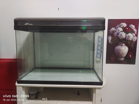 Dammam, Pet Supplies, SAR 350,  Fish Aquarium Big Size 31inchx17inchx24inch
