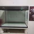 SAR 350,  Fish Aquarium Big Size 31inchx17inchx24inch