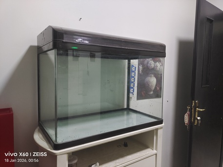 Dammam, Pet Supplies, SAR 350,  Fish Aquarium Big Size 31inchx17inchx24inch