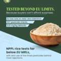 EUR 5000,  Trusted Basmati Rice Supplier For Global Wholesale Buyers | Nature Pearls Organic