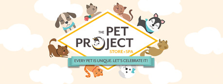 Bangalore, Pet Supplies, INR 1000,  Everything Your Pet Needs, Delivered Fast