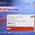 Authentic Berab Rabies Vaccine In The Philippines - Oddway