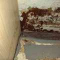 Effective Mould Removal Services For A Healthier Home