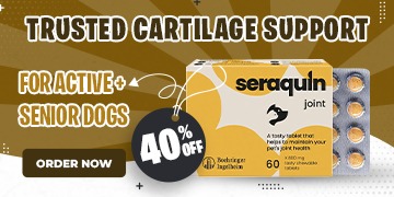 Los Angeles, Pet Supplies, USD 38,  Seraquin Joint Care For Dogs | Glucosamine + Chondroitin | BudgetPetCare