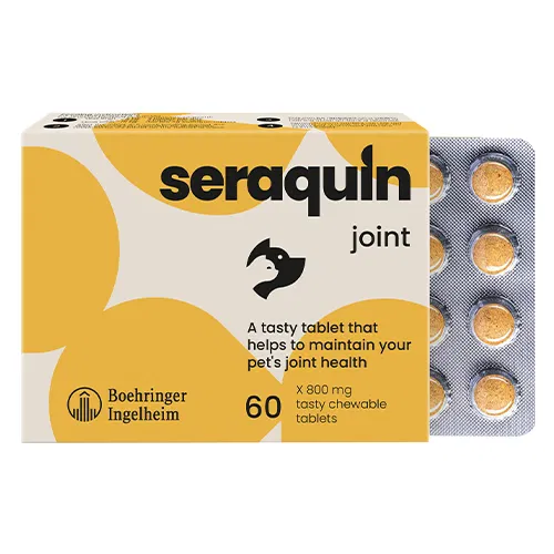 Los Angeles, Pet Supplies, USD 38,  Seraquin Joint Care For Dogs | Glucosamine + Chondroitin | BudgetPetCare