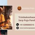 Trimbakeshwar Kaal Sarp Puja Pandit | Kaal Sarp Dosh Puja Cost Nashik