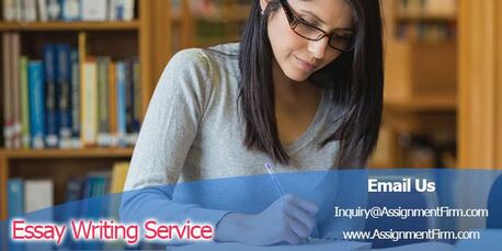 Sydney, Education, What Makes A Reliable Essay Writing Service?