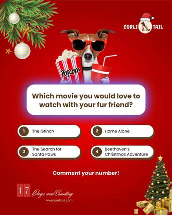 San Francisco, Pet Supplies, USD 28,  Personalized Dog Collar With Flower | Custom Dog Collar