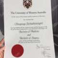 Buy University Of Western Australia Fake Degree