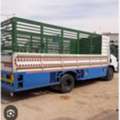 ALL RIYADH MOVERS PACKERS CLEANERS AND PEST CANTROLTOTAL SOLUTION BEST PRICE