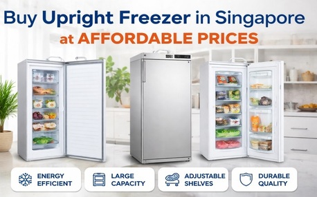 Singapore, Health & Beauty Items, Buy Upright Freezer In Singapore At Affordable Prices