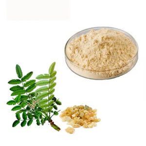New Delhi, Health & Beauty Items, Water Soluble Berberine Manufacturers In India