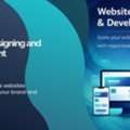 Professional Website Design And Development Services For Modern Businesses