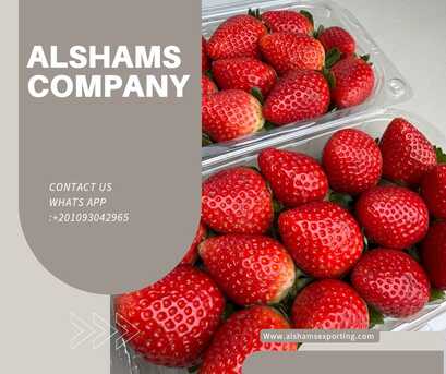 Kuwait City, Farm & Garden, Fresh Strawberry