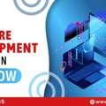 Software Development Company In Lucknow
