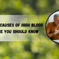 Key Causes Of High Blood Pressure And Risk Factors