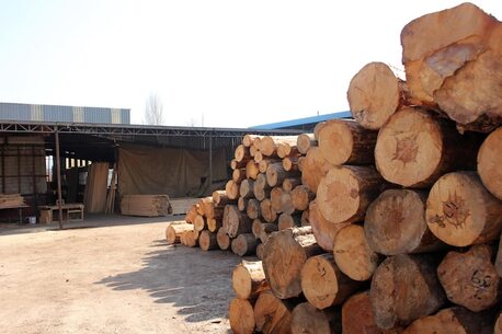 Dubai, Business, Far East Timber Suppliers In Dubai For Quality Imported Wood Materials