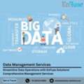 Streamline Data Operations With EnFuse Solutions&rsquo; Comprehensive Management Services