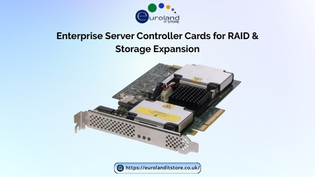 London, Computer, Enterprise Server Controller Cards For RAID & Storage Expansion