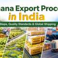 Banana Export From India: Process & Quality | Strivex Global