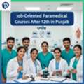 Job-Oriented Paramedical Courses After 12th In Punjab