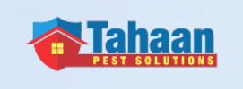 Mumbai, Pest Control, Best Termite Treatment Solutions In Mumbai