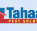 Best Termite Treatment Solutions In Mumbai